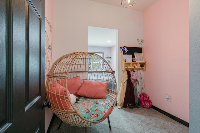 418 Wells St, Greenfield, MO 65661 - photo 17