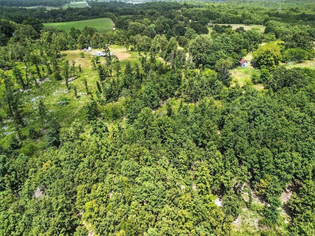 5160 County Road 9380, West Plains, MO 65775 - photo 11