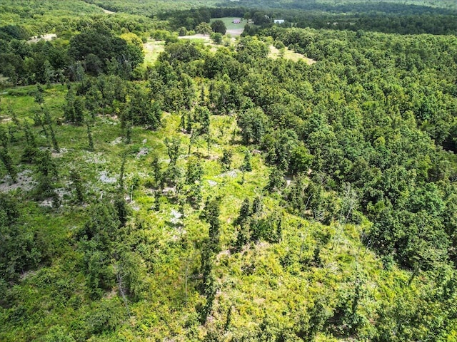 5160 County Road 9380, West Plains, MO 65775 - photo 8