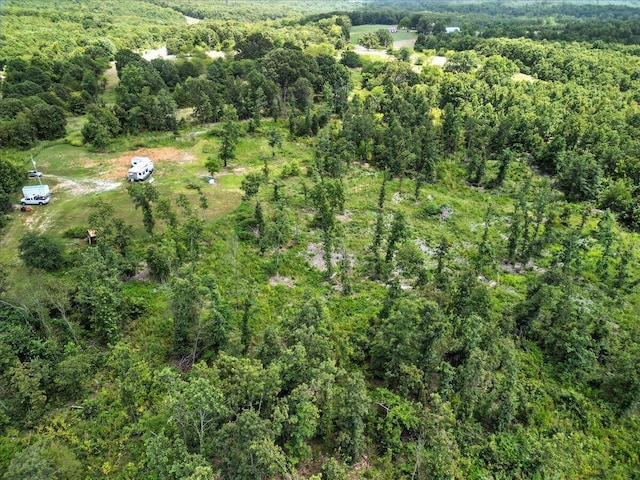 5160 County Road 9380, West Plains, MO 65775 - photo 7