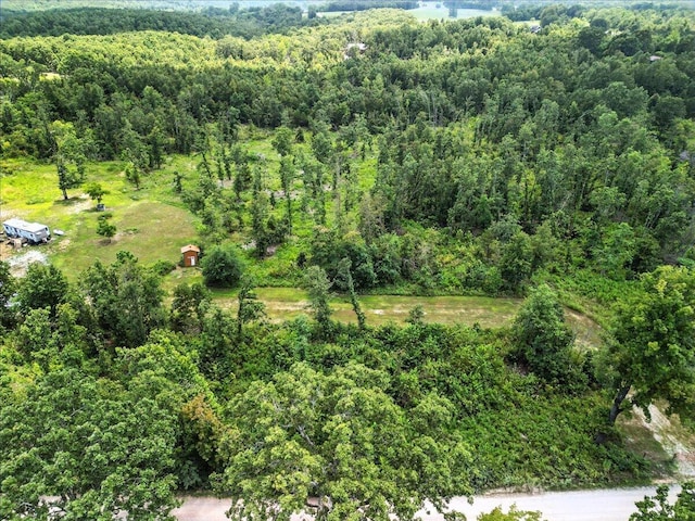 5160 County Road 9380, West Plains, MO 65775 - photo 5
