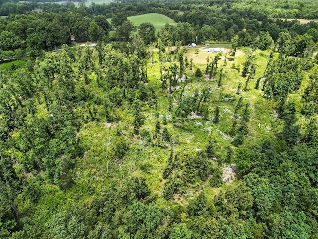 5160 County Road 9380, West Plains, MO 65775 - photo 9