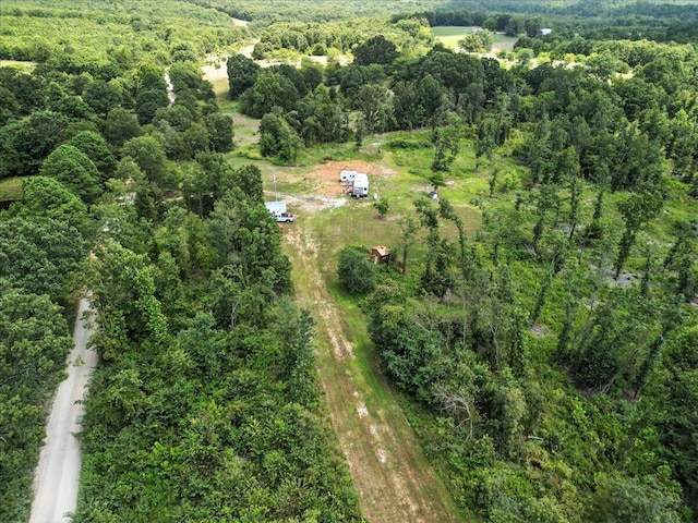 5160 County Road 9380, West Plains, MO 65775 - photo 6