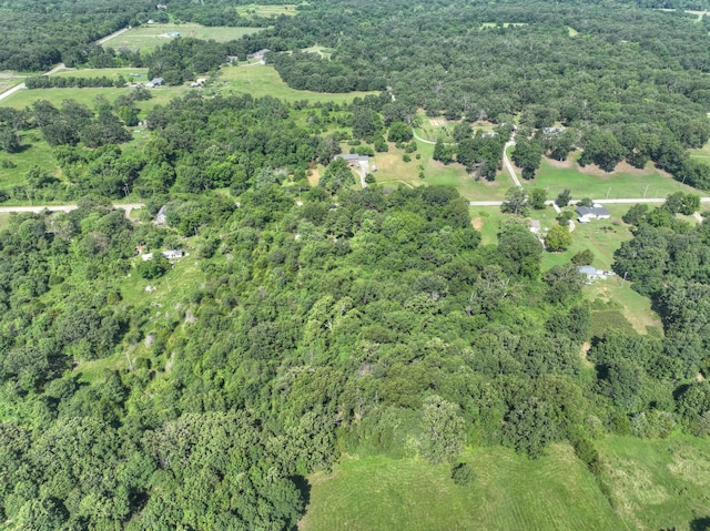 14777 Monark Dr, Neosho, MO 64850 - photo 4