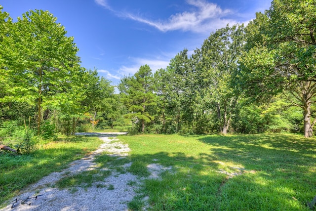 14777 Monark Dr, Neosho, MO 64850 - photo 10