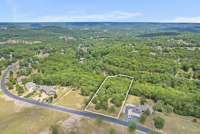 LOT2 Arabian Way, Saddlebrooke, MO 65630 - photo 1