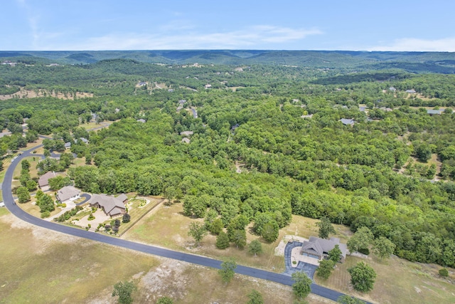 LOT2 Arabian Way, Saddlebrooke, MO 65630 - photo 12