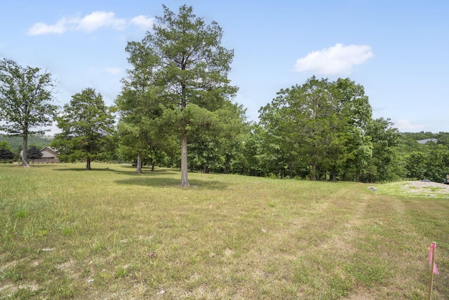 LOT2 Arabian Way, Saddlebrooke, MO 65630 - photo 3