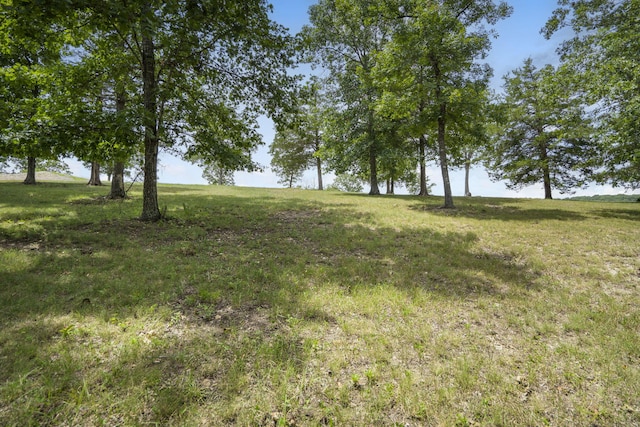 LOT2 Arabian Way, Saddlebrooke, MO 65630 - photo 4