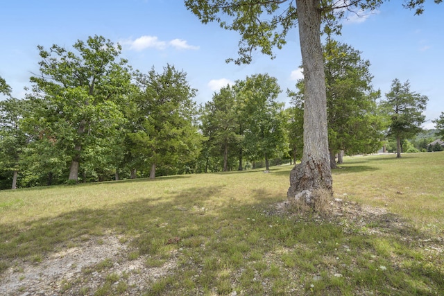 LOT2 Arabian Way, Saddlebrooke, MO 65630 - photo 6