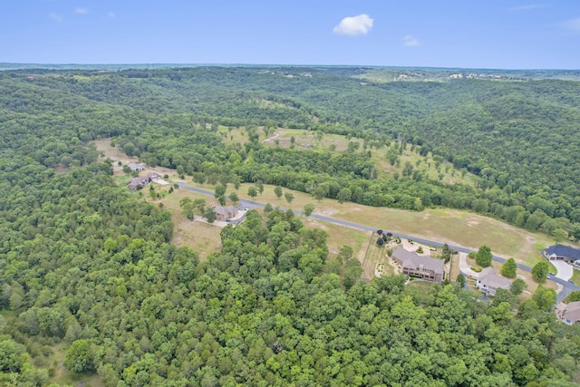 LOT2 Arabian Way, Saddlebrooke, MO 65630 - photo 10