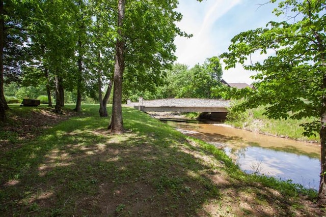 LOT2 Arabian Way, Saddlebrooke, MO 65630 - photo 16