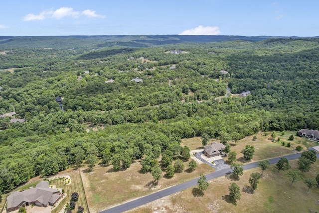 LOT2 Arabian Way, Saddlebrooke, MO 65630 - photo 7