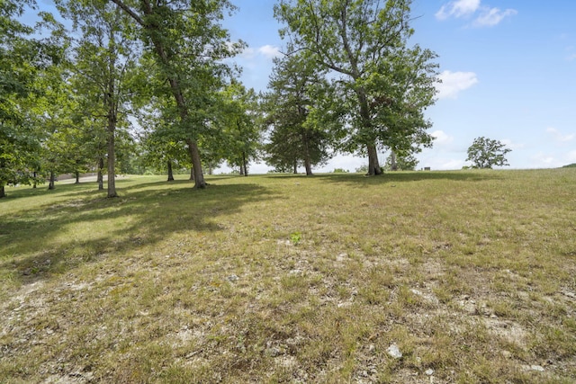 LOT2 Arabian Way, Saddlebrooke, MO 65630 - photo 5