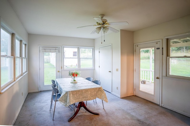10081 US Highway 63, West Plains, MO 65775 - photo 26