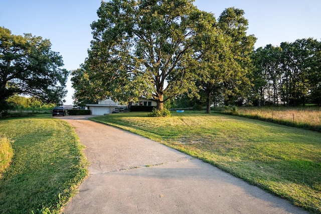 10081 US Highway 63, West Plains, MO 65775 - photo 3