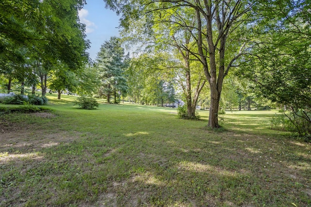 1028 S Nicholas Rd, Nixa, MO 65714 - photo 31