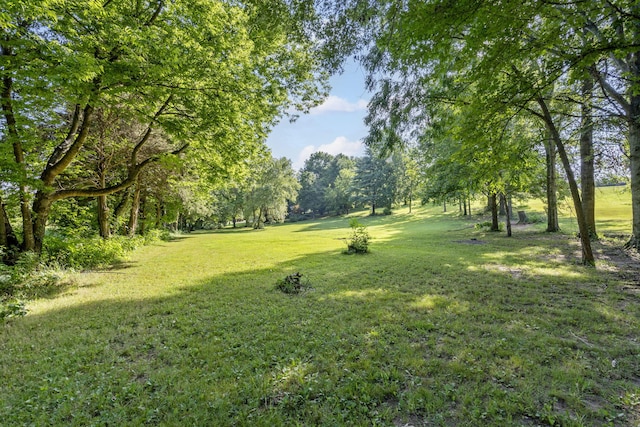 1028 S Nicholas Rd, Nixa, MO 65714 - photo 32