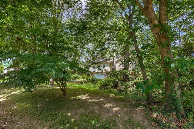 5644 S Honeysuckle Ln, Battlefield, MO 65619 - photo 28