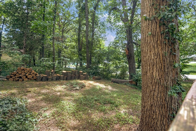 5644 S Honeysuckle Ln, Battlefield, MO 65619 - photo 27