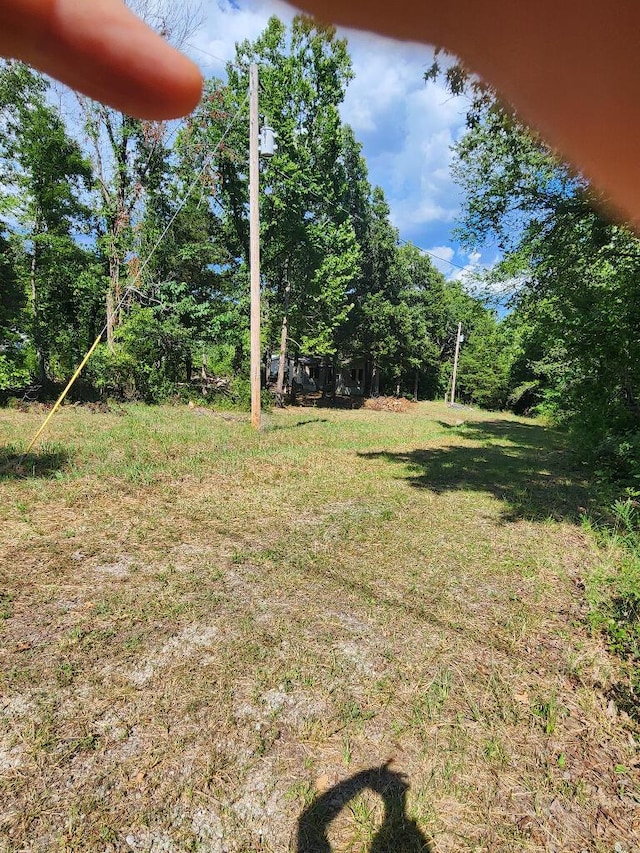 135 Sturgeon St, Kissee Mills, MO 65680 - photo 1