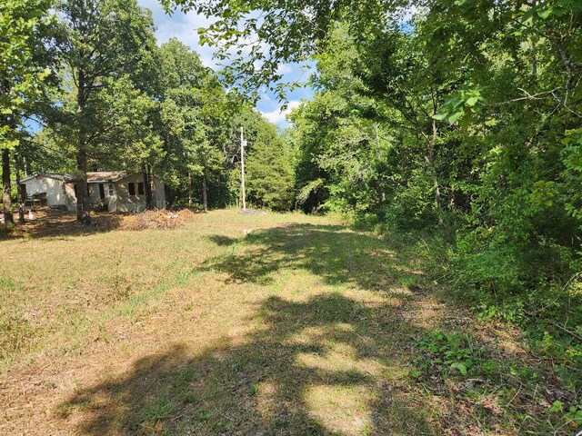 135 Sturgeon St, Kissee Mills, MO 65680 - photo 9