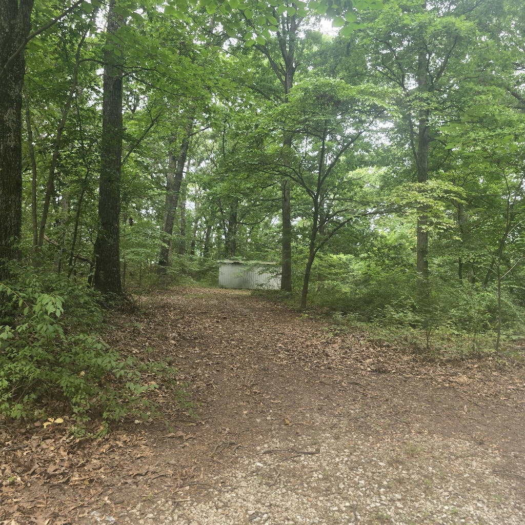 967 N Dade 219, Aldrich, MO 65601 - photo 1