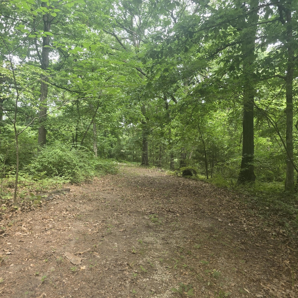967 N Dade 219, Aldrich, MO 65601 - photo 3