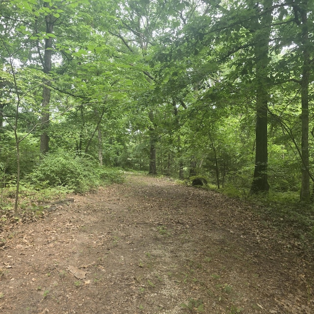 967 N Dade 219, Aldrich, MO 65601 - photo 3