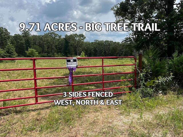 Tbd Big Tree Trail, Buffalo, MO 65622 - photo 3