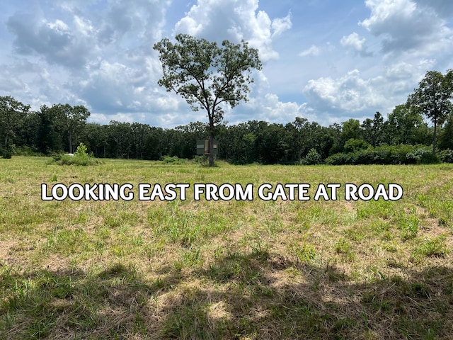 Tbd Big Tree Trail, Buffalo, MO 65622 - photo 2