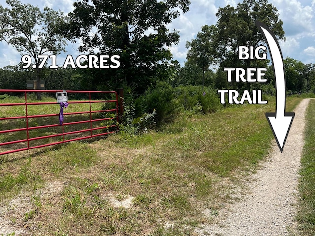 Tbd Big Tree Trail, Buffalo, MO 65622 - photo 4