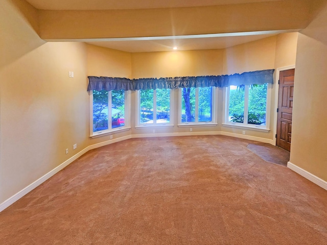 233 Sidehill Dr, Ridgedale, MO 65739 - photo 44