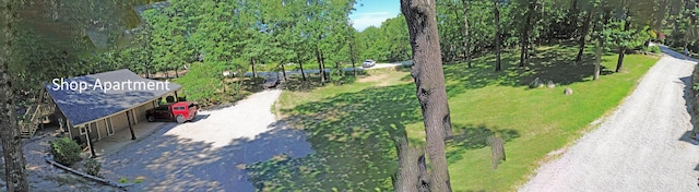 233 Sidehill Dr, Ridgedale, MO 65739 - photo 53
