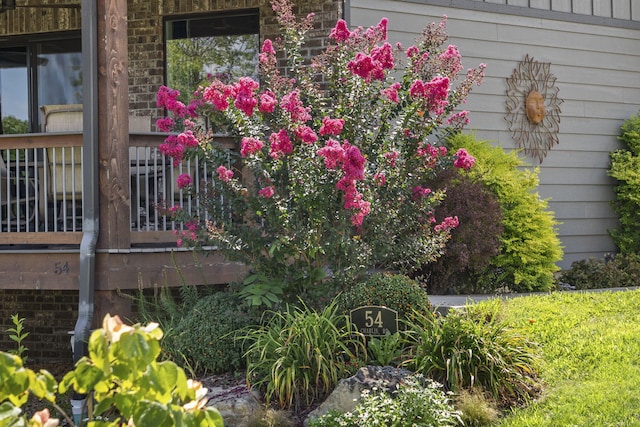 54 Chablis Rd, Lampe, MO 65681 - photo 7