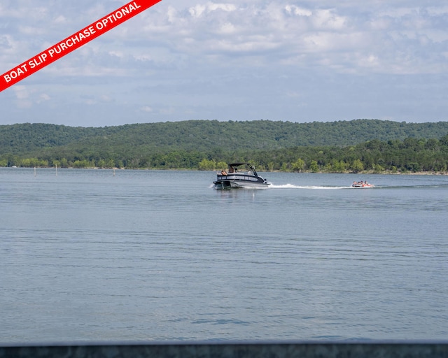 54 Chablis Rd, Lampe, MO 65681 - photo 83