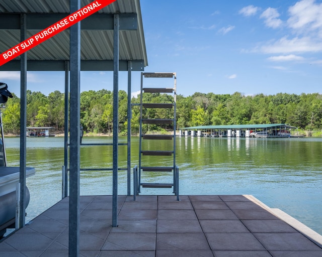 54 Chablis Rd, Lampe, MO 65681 - photo 78