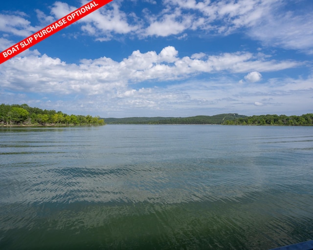 54 Chablis Rd, Lampe, MO 65681 - photo 86