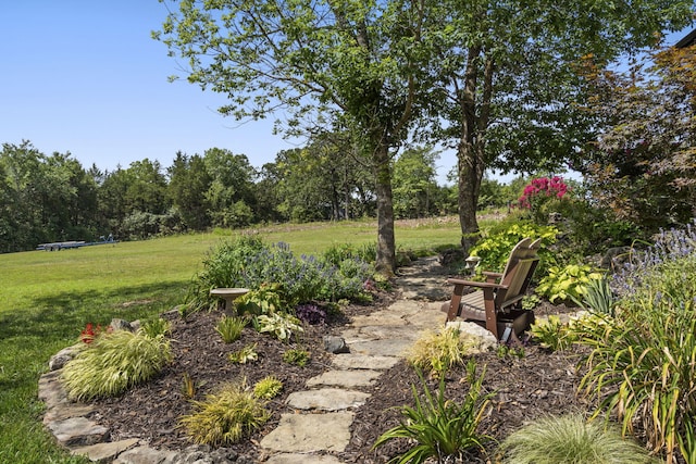 54 Chablis Rd, Lampe, MO 65681 - photo 59