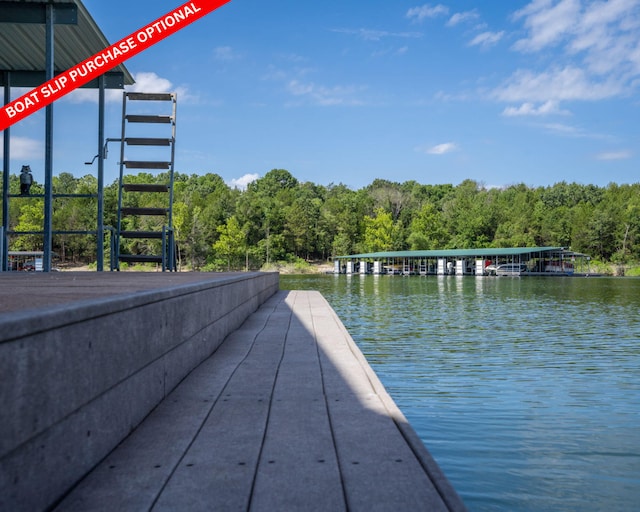 54 Chablis Rd, Lampe, MO 65681 - photo 85