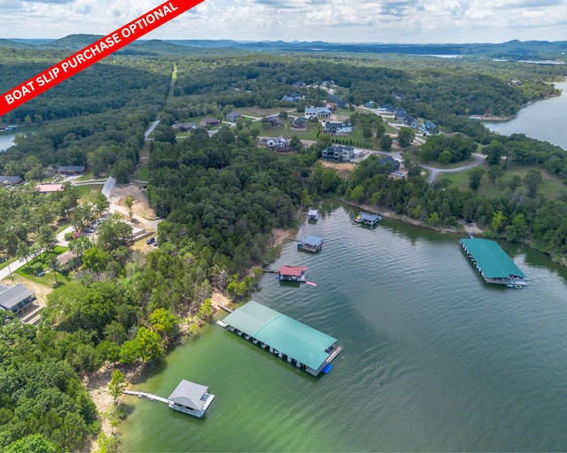 54 Chablis Rd, Lampe, MO 65681 - photo 73