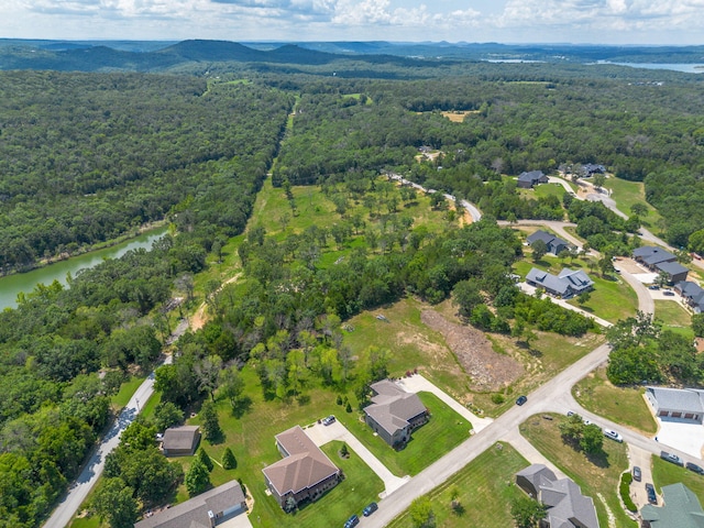 54 Chablis Rd, Lampe, MO 65681 - photo 67