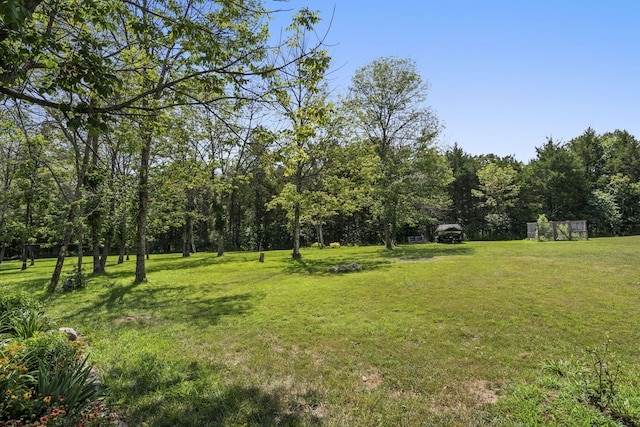 54 Chablis Rd, Lampe, MO 65681 - photo 66