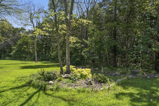 54 Chablis Rd, Lampe, MO 65681 - photo 61