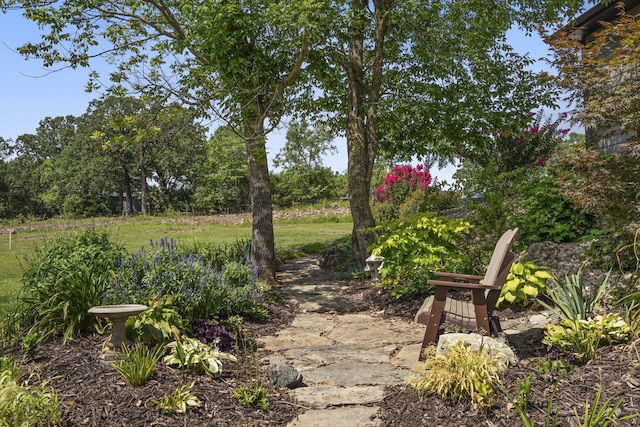 54 Chablis Rd, Lampe, MO 65681 - photo 9