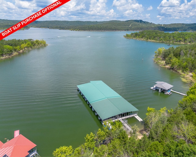 54 Chablis Rd, Lampe, MO 65681 - photo 71