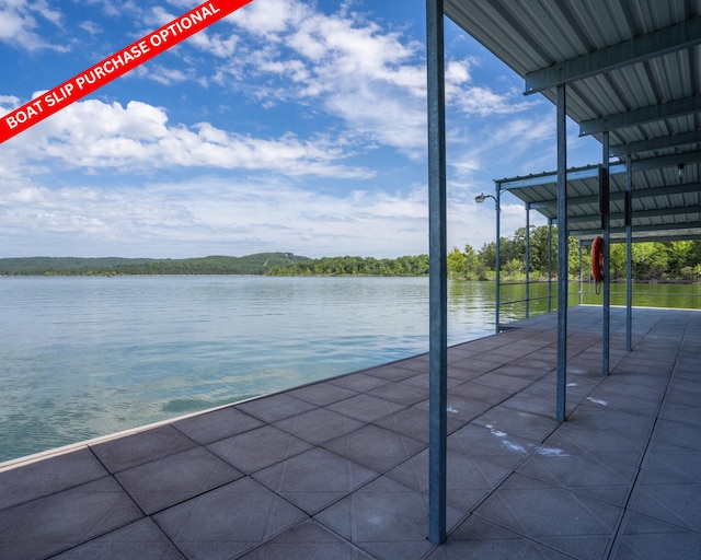 54 Chablis Rd, Lampe, MO 65681 - photo 79