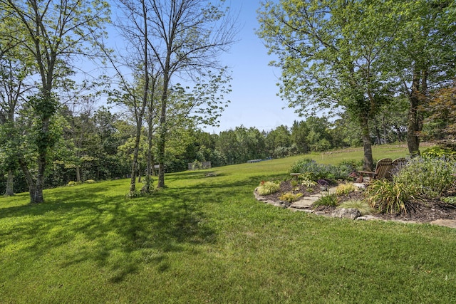 54 Chablis Rd, Lampe, MO 65681 - photo 60