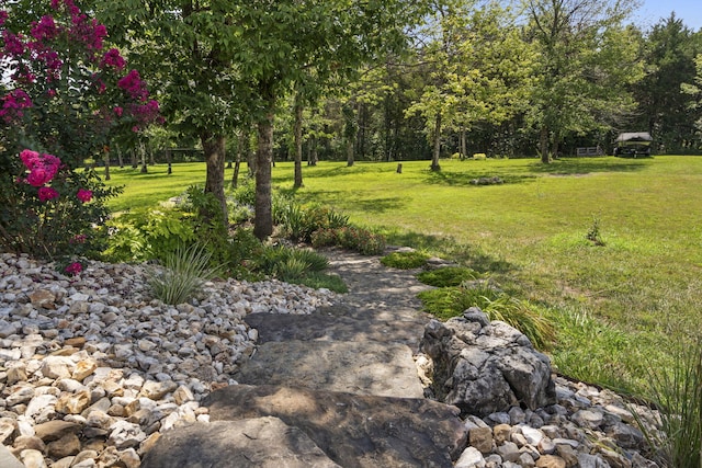 54 Chablis Rd, Lampe, MO 65681 - photo 12