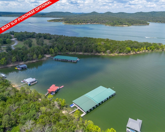54 Chablis Rd, Lampe, MO 65681 - photo 72